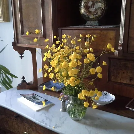 Πανσιόν Martha Μπάντενβαϊλερ