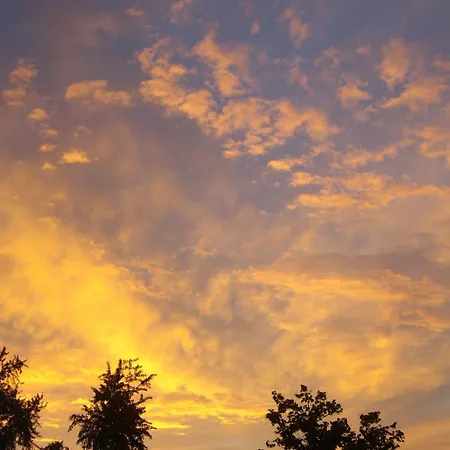 Martha Πανσιόν *