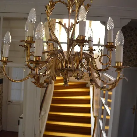 Πανσιόν Martha Μπάντενβαϊλερ